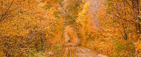 Fall Foliage in the Catskills by Train
