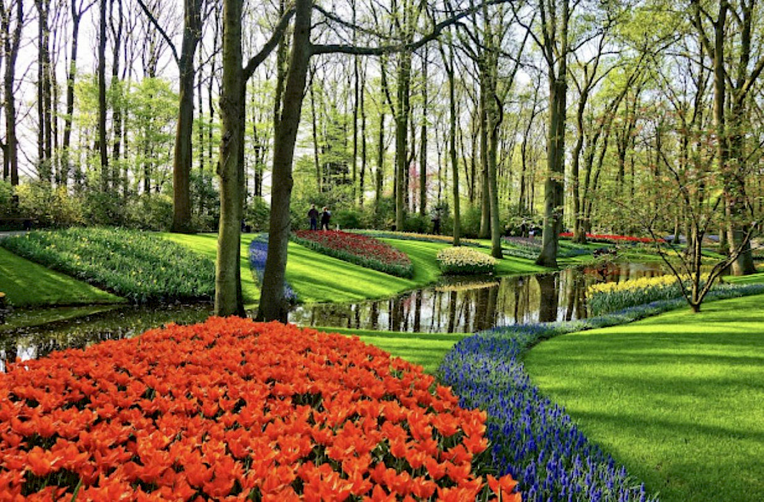 The Tulip wonderland of Keukenhof Gardens.