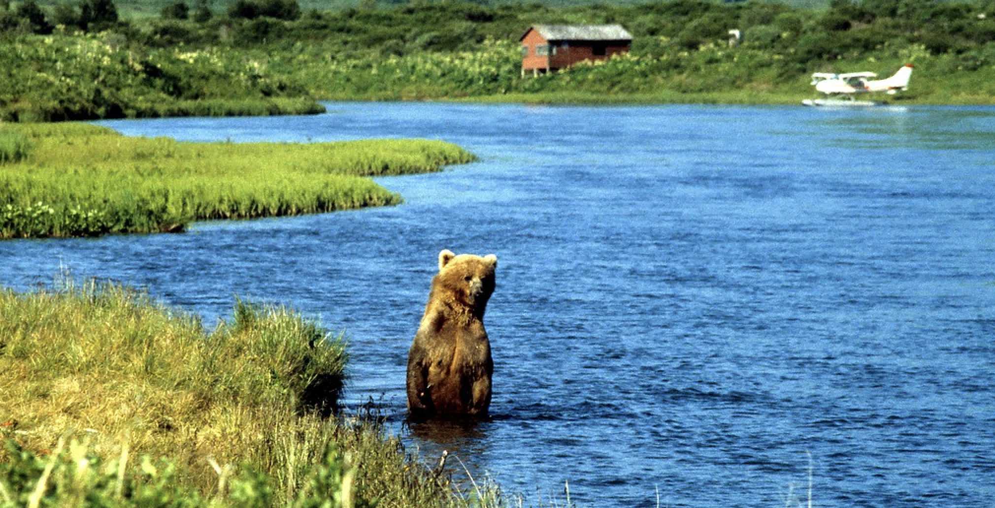 One of Alaska's Big Five!