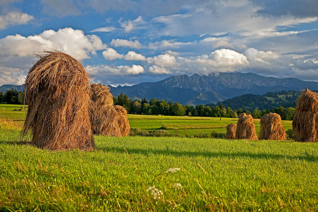 Haystacks in the foreground of the Tatra Mountains.